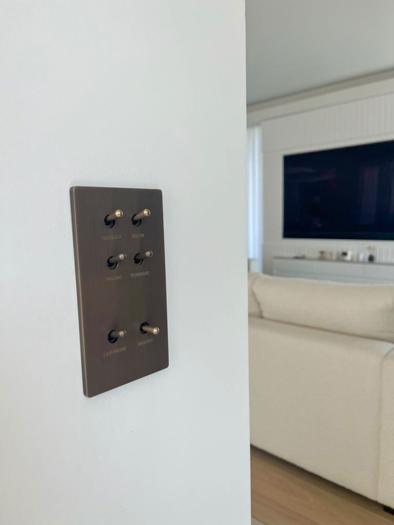 appareillage-interrupteur-levier-equilibre-1-768x1024